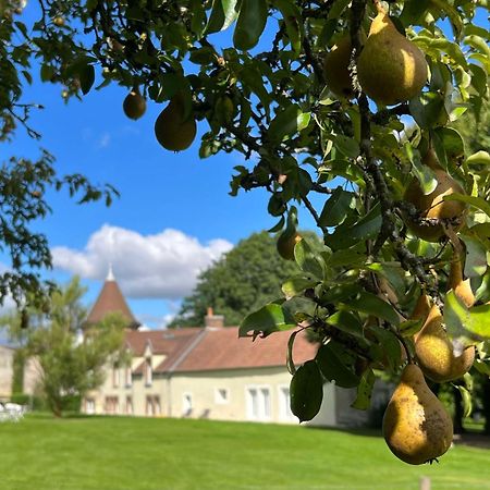 Le Petit Chateau Baye  Bagian luar foto